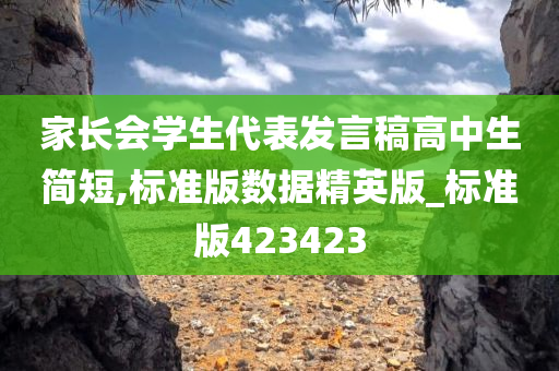 家长会学生代表发言稿高中生简短,标准版数据精英版_标准版423423