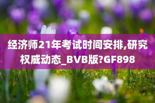 经济师21年考试时间安排,研究权威动态_BVB版?GF898
