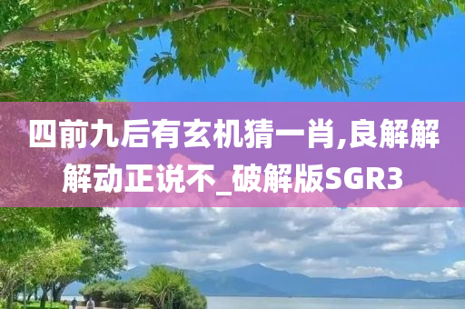 破解版 第21页