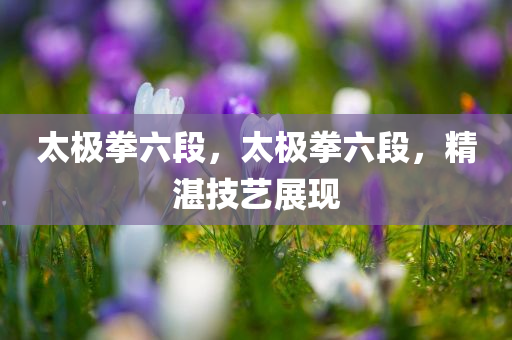太极拳六段，太极拳六段，精湛技艺展现