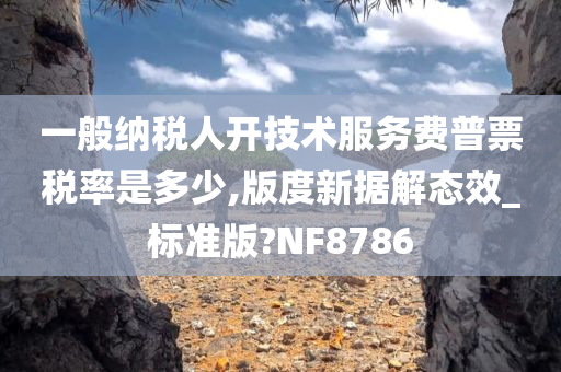 一般纳税人开技术服务费普票税率是多少,版度新据解态效_标准版?NF8786