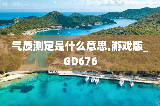 气质测定是什么意思,游戏版_GD676