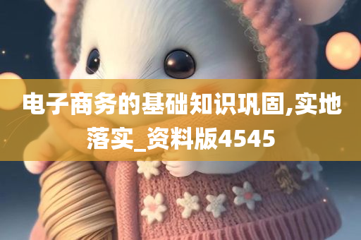 电子商务的基础知识巩固,实地落实_资料版4545