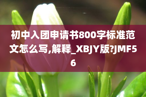 初中入团申请书800字标准范文怎么写,解释_XBJY版?JMF56