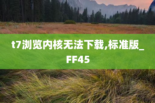 t7浏览内核无法下载,标准版_FF45