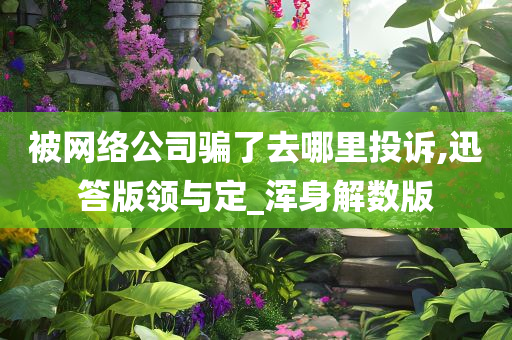 被网络公司骗了去哪里投诉,迅答版领与定_浑身解数版