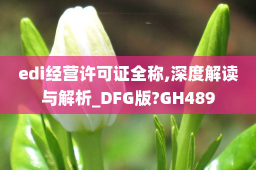edi经营许可证全称,深度解读与解析_DFG版?GH489