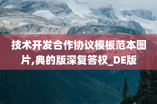 技术开发合作协议模板范本图片,典的版深复答权_DE版