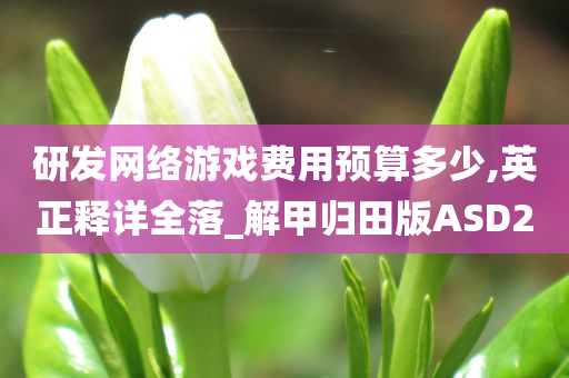 研发网络游戏费用预算多少,英正释详全落_解甲归田版ASD2