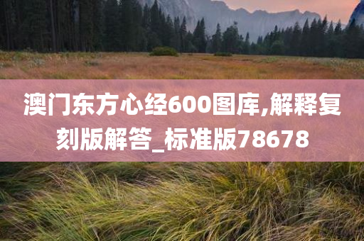 澳门东方心经600图库,解释复刻版解答_标准版78678