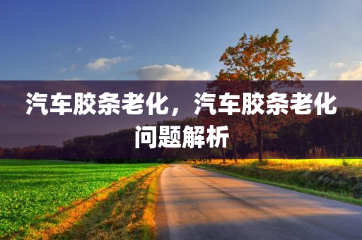 汽车胶条老化
