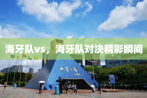 海牙队vs，海牙队对决精彩瞬间