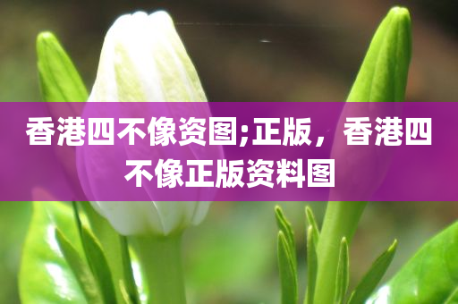 香港四不像资图