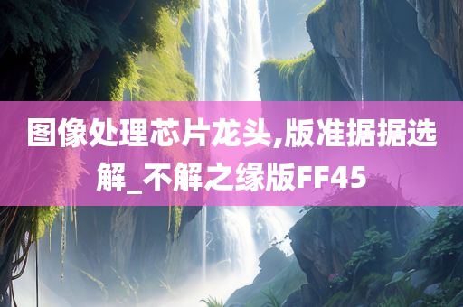 图像处理芯片龙头,版准据据选解_不解之缘版FF45