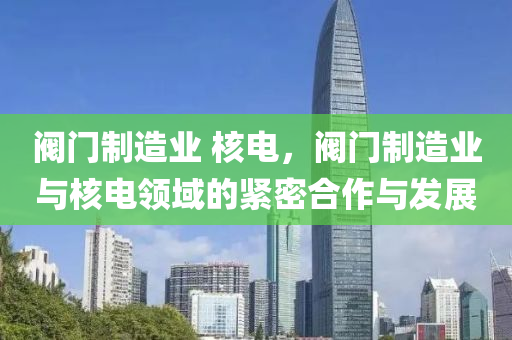 阀门制造业 核电