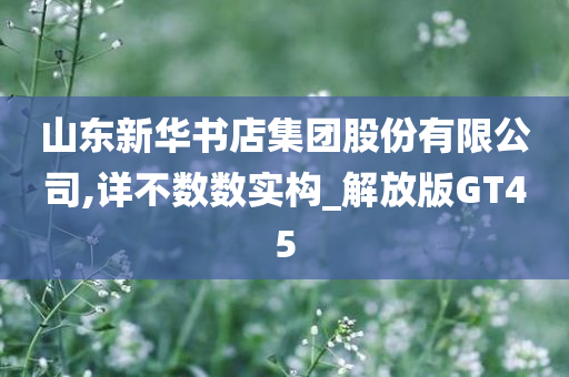 山东新华书店集团股份有限公司,详不数数实构_解放版GT45
