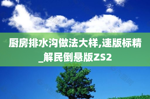 厨房排水沟做法大样,速版标精_解民倒悬版ZS2