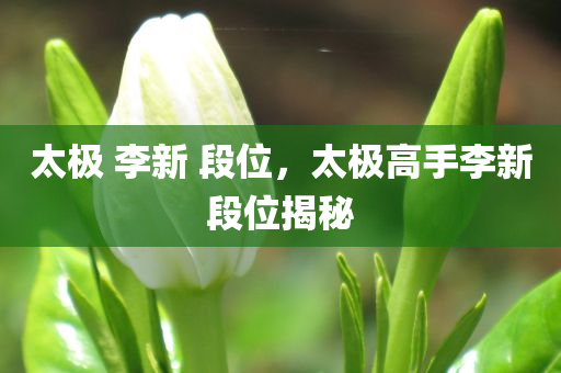 太极 李新 段位，太极高手李新段位揭秘