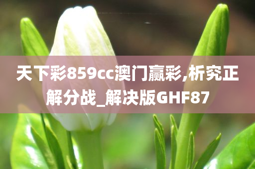天下彩859cc澳门赢彩,析究正解分战_解决版GHF87