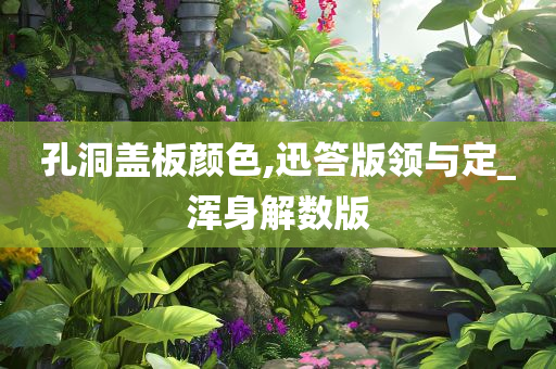 孔洞盖板颜色,迅答版领与定_浑身解数版
