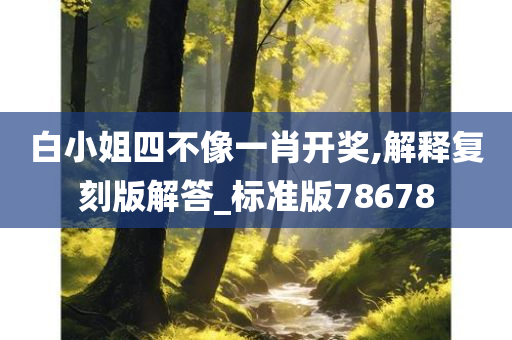 白小姐四不像一肖开奖,解释复刻版解答_标准版78678