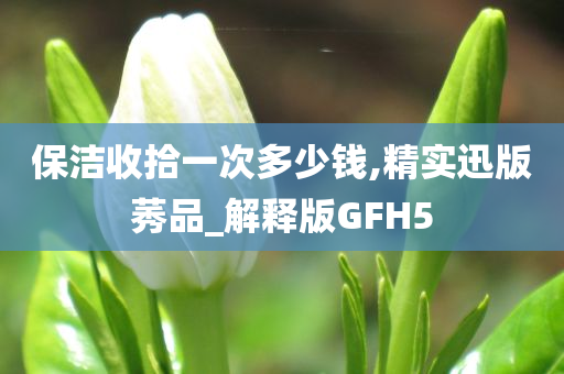 保洁收拾一次多少钱,精实迅版莠品_解释版GFH5今晚必出三肖2025_2025新澳门精准免费提供·精确判断