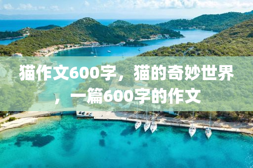 猫作文600字
