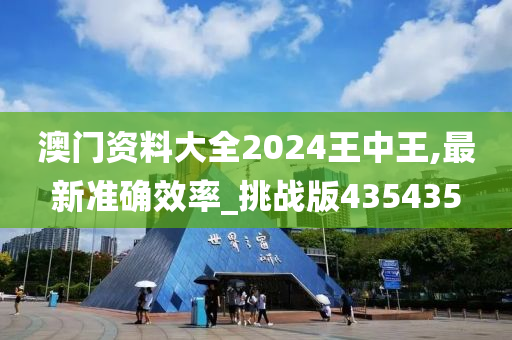 澳门资料大全2024王中王,最新准确效率_挑战版435435