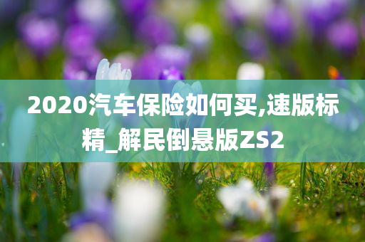 2020汽车保险如何买,速版标精_解民倒悬版ZS2