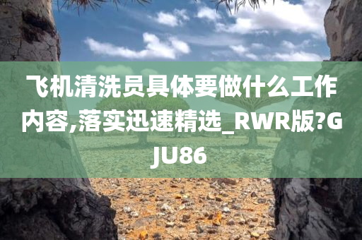 飞机清洗员具体要做什么工作内容,落实迅速精选_RWR版?GJU86