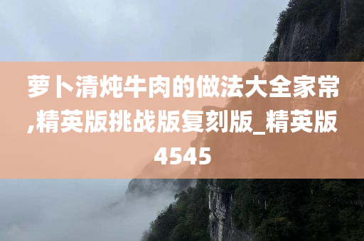萝卜清炖牛肉的做法大全家常,精英版挑战版复刻版_精英版4545