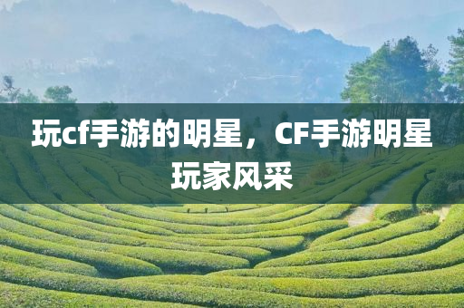 玩cf手游的明星