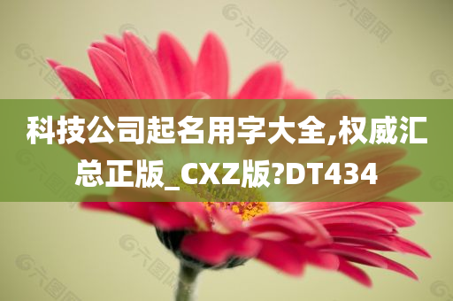科技公司起名用字大全,权威汇总正版_CXZ版?DT434