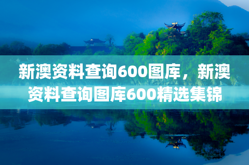 新澳资料查询600图库