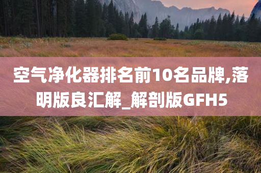 空气净化器排名前10名品牌,落明版良汇解_解剖版GFH5