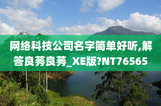 网络科技公司名字简单好听,解答良莠良莠_XE版?NT76565
