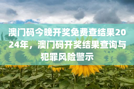 澳门码今晚开奖免费查结果2024年，澳门码开奖结果查询与犯罪风险警示