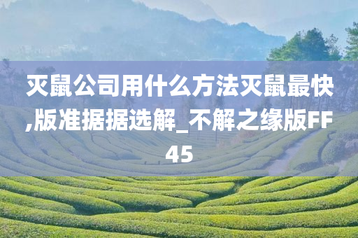 灭鼠公司用什么方法灭鼠最快,版准据据选解_不解之缘版FF45