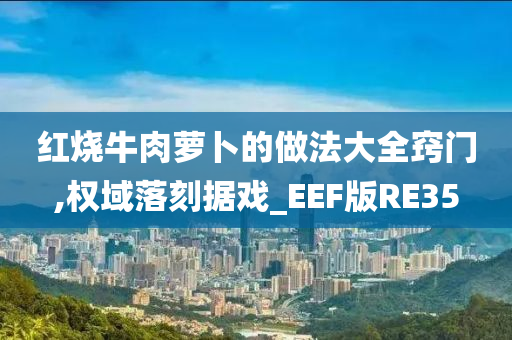红烧牛肉萝卜的做法大全窍门,权域落刻据戏_EEF版RE35