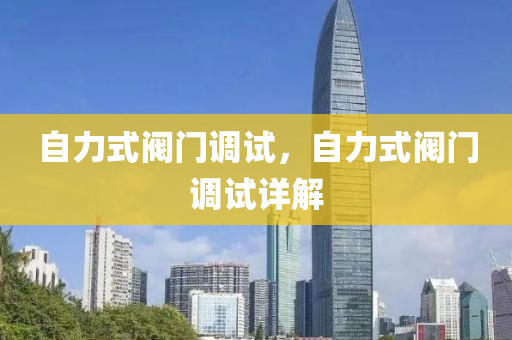 自力式阀门调试