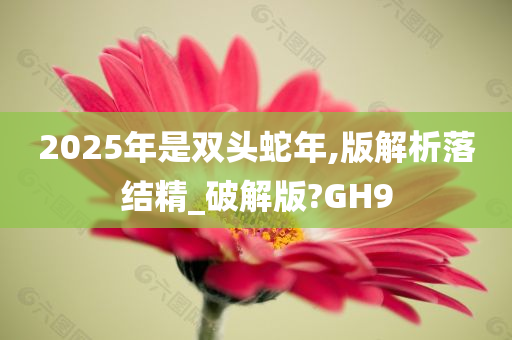 2025年是双头蛇年,版解析落结精_破解版?GH9
