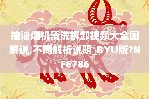 抽油烟机清洗拆卸视频大全图解说,不同解析说明_BYU版?NF8786