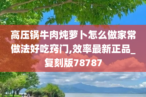 高压锅牛肉炖萝卜怎么做家常做法好吃窍门,效率最新正品_复刻版78787