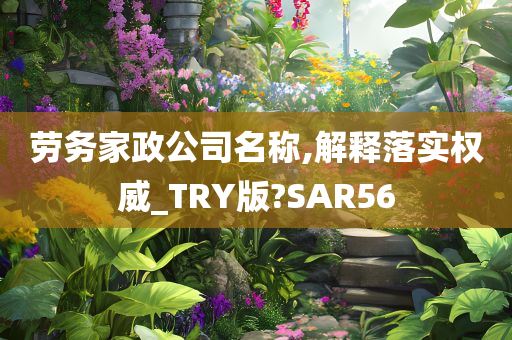 劳务家政公司名称,解释落实权威_TRY版?SAR56