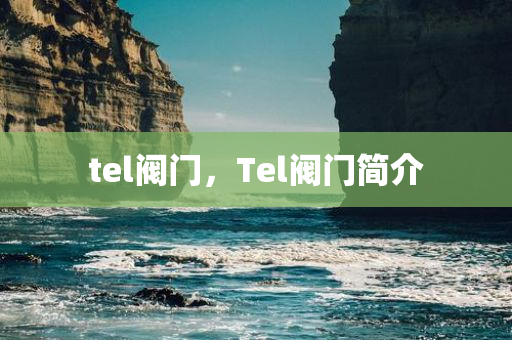 tel阀门