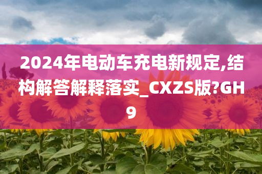 2024年电动车充电新规定,结构解答解释落实_CXZS版?GH9