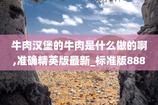 牛肉汉堡的牛肉是什么做的啊,准确精英版最新_标准版888