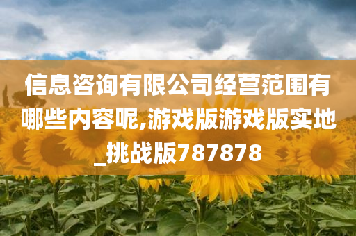 信息咨询有限公司经营范围有哪些内容呢,游戏版游戏版实地_挑战版787878