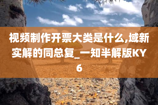 视频制作开票大类是什么,域新实解的同总复_一知半解版KY6