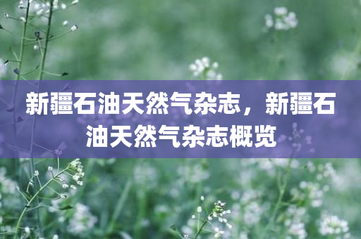 新疆石油天然气杂志，新疆石油天然气杂志概览今晚必出三肖2025_2025新澳门精准免费提供·精确判断
